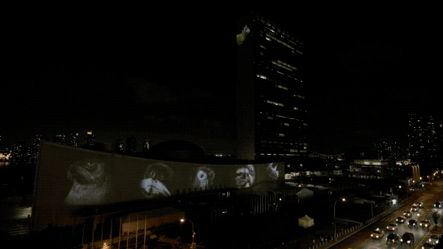 建筑投影 建筑投影